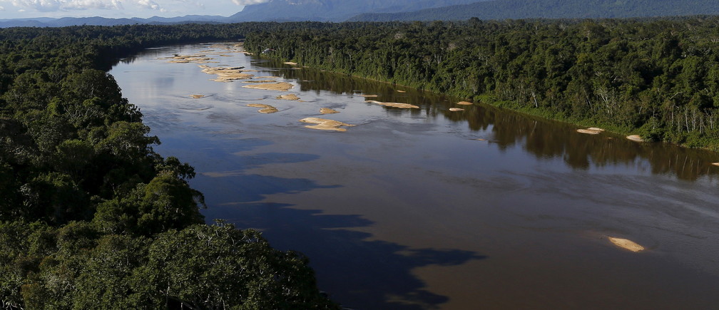 Biodiversité : Les peuples autochtones d’Amazonie veulent créer un sanctuaire de la taille du Mexique