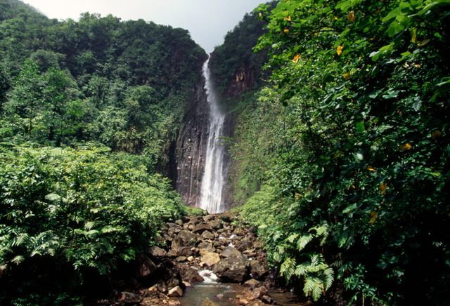 Planète : L’UICN distingue le Parc national de Guadeloupe et la Réserve naturelle nationale des TAAF