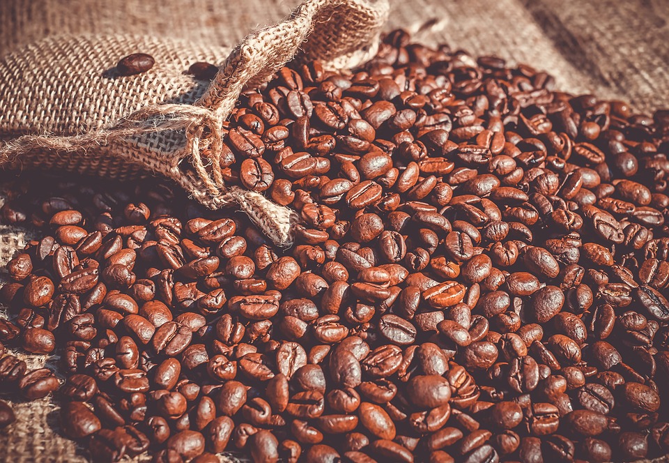Webdoc : Sur les traces du café calédonien