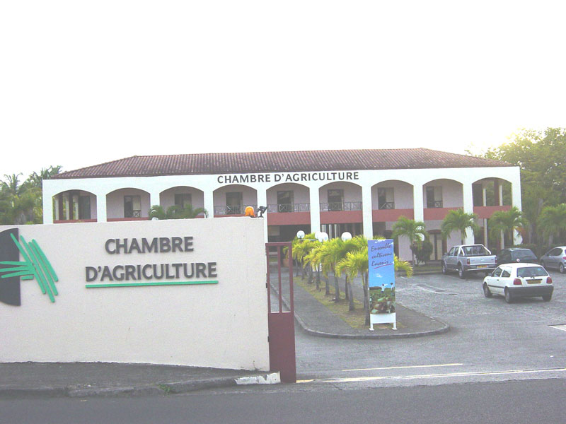 Quatre listes en lice pour les élections des membres de la Chambre d’agriculture de Martinique