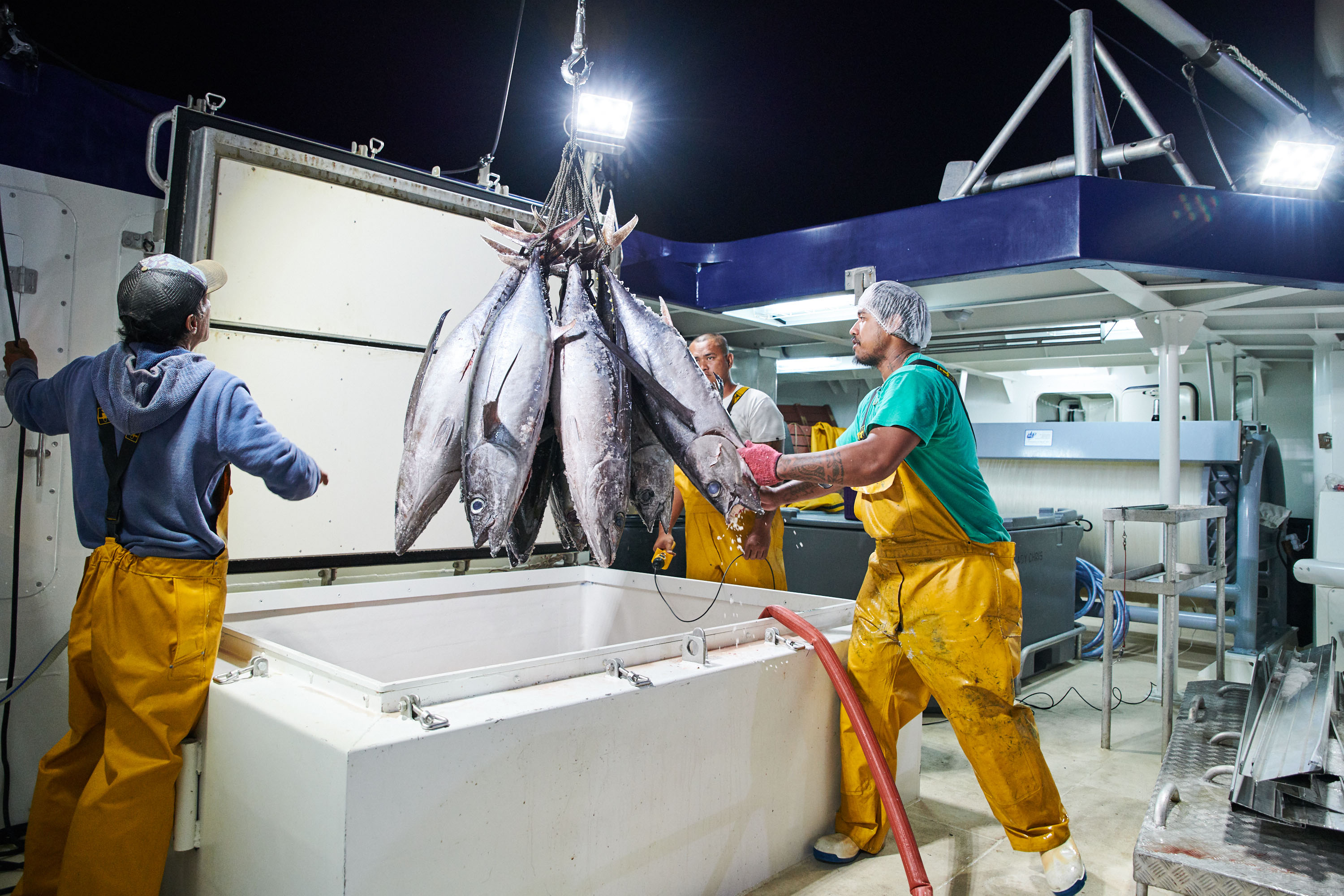 Pêche en Polynésie : Défiscalisation nationale accordée pour l’acquisition de deux thoniers