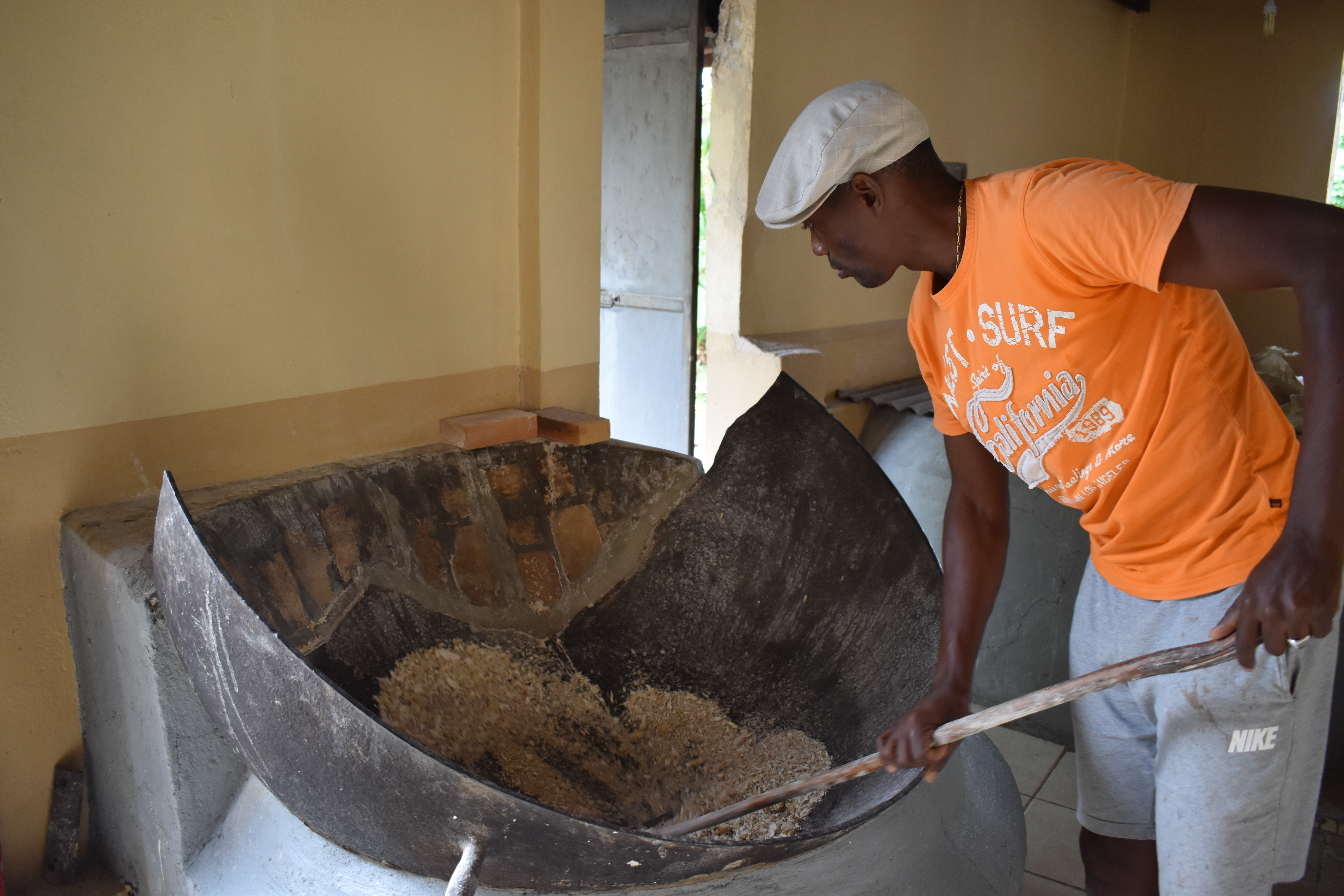 Agriculture à Marie-Galante : À la découverte de la production de la farine de manioc