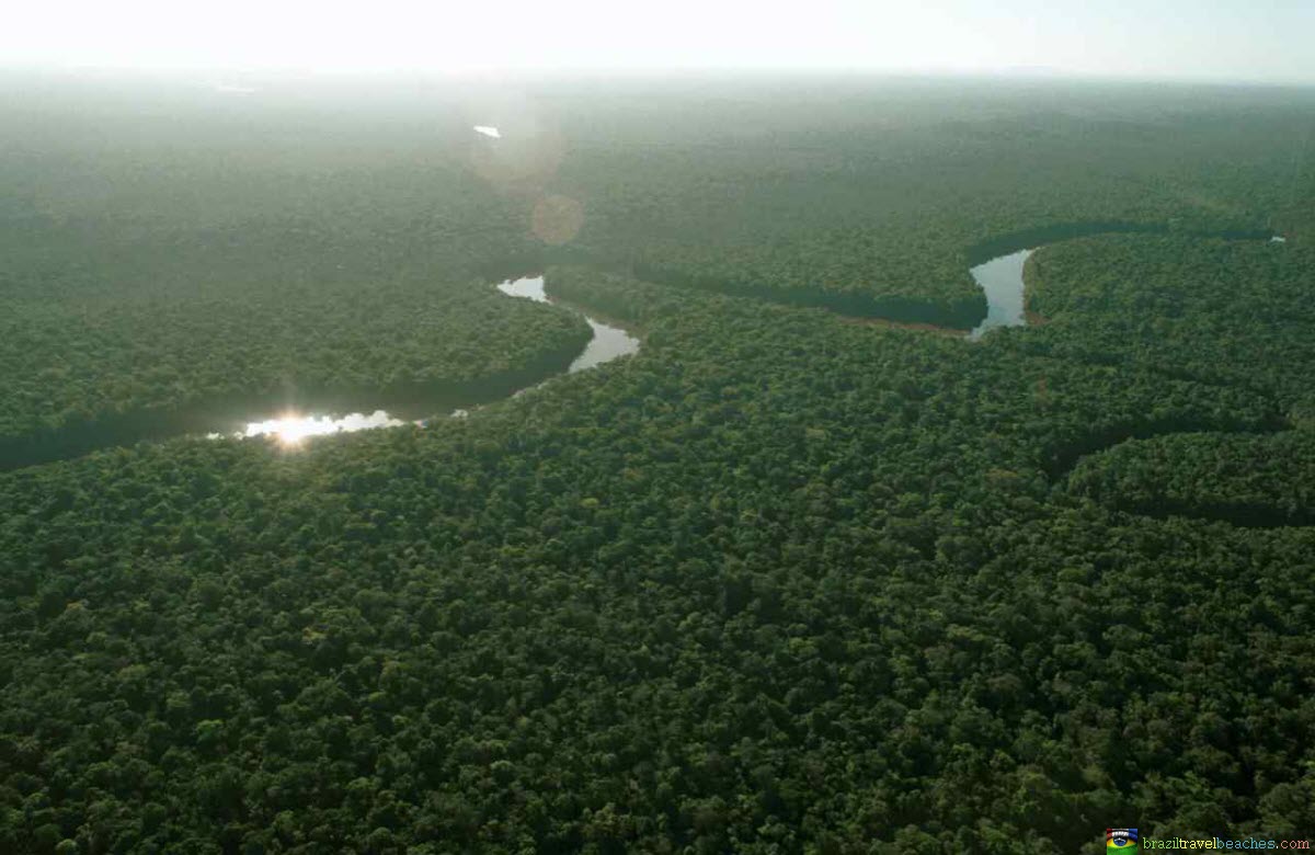 Biodiversité : Une plateforme pour aider les décideurs à la restauration des paysages forestiers