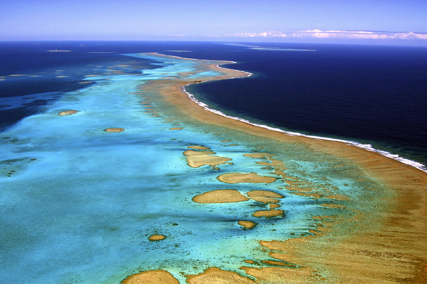Nouvelle-Calédonie : « Certains métaux sont des éléments essentiels au fonctionnement des coraux » selon une étude de l’IRD