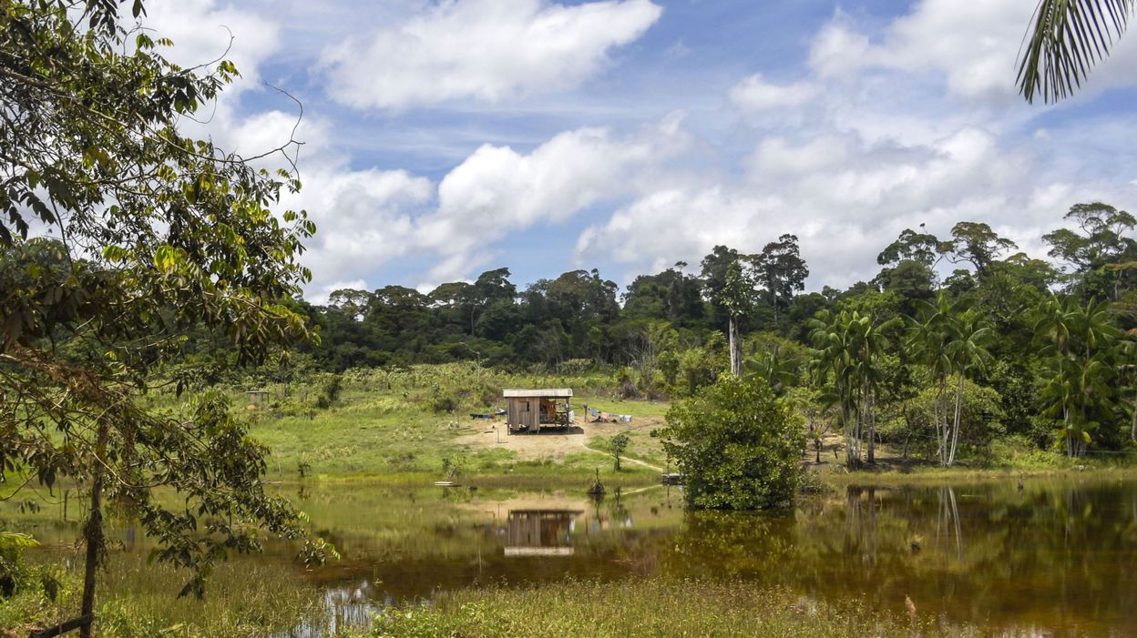 Brésil : Bolsonaro confie la démarcation des terres autochtones au ministère de l’Agriculture