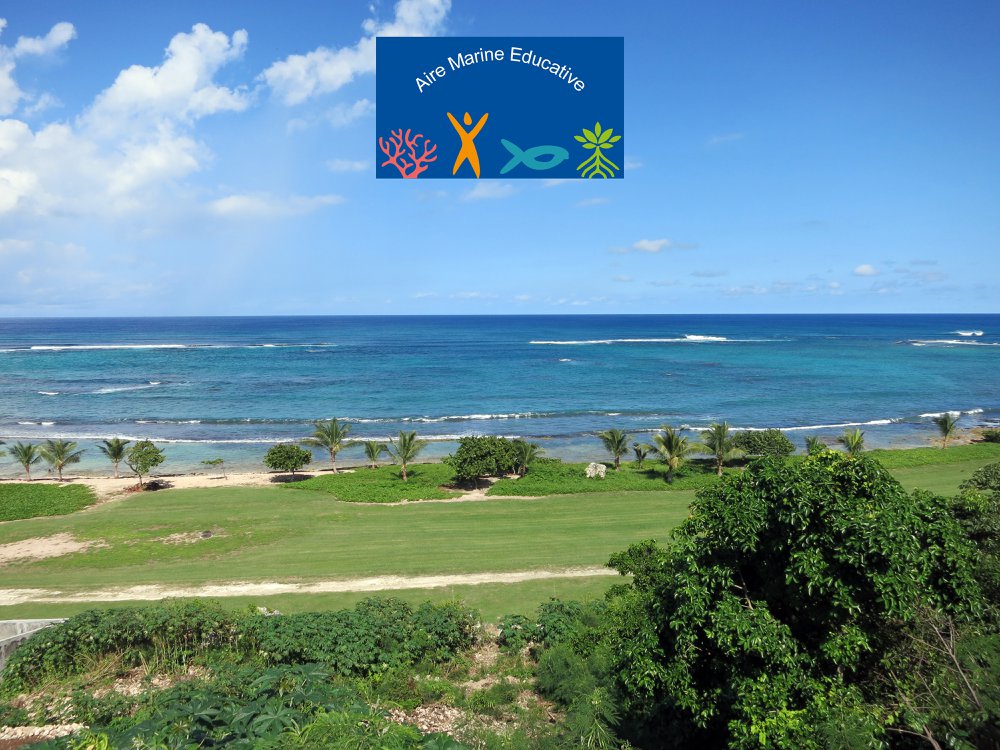 Environnement en Guadeloupe: Une aire marine éducative bientôt créée au Moule