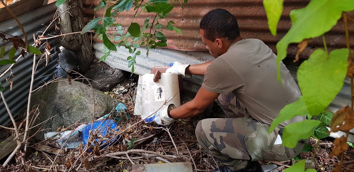 Dengue à La Réunion: Le SDIS et le RSMA en renfort sur la lutte anti-vectorielle