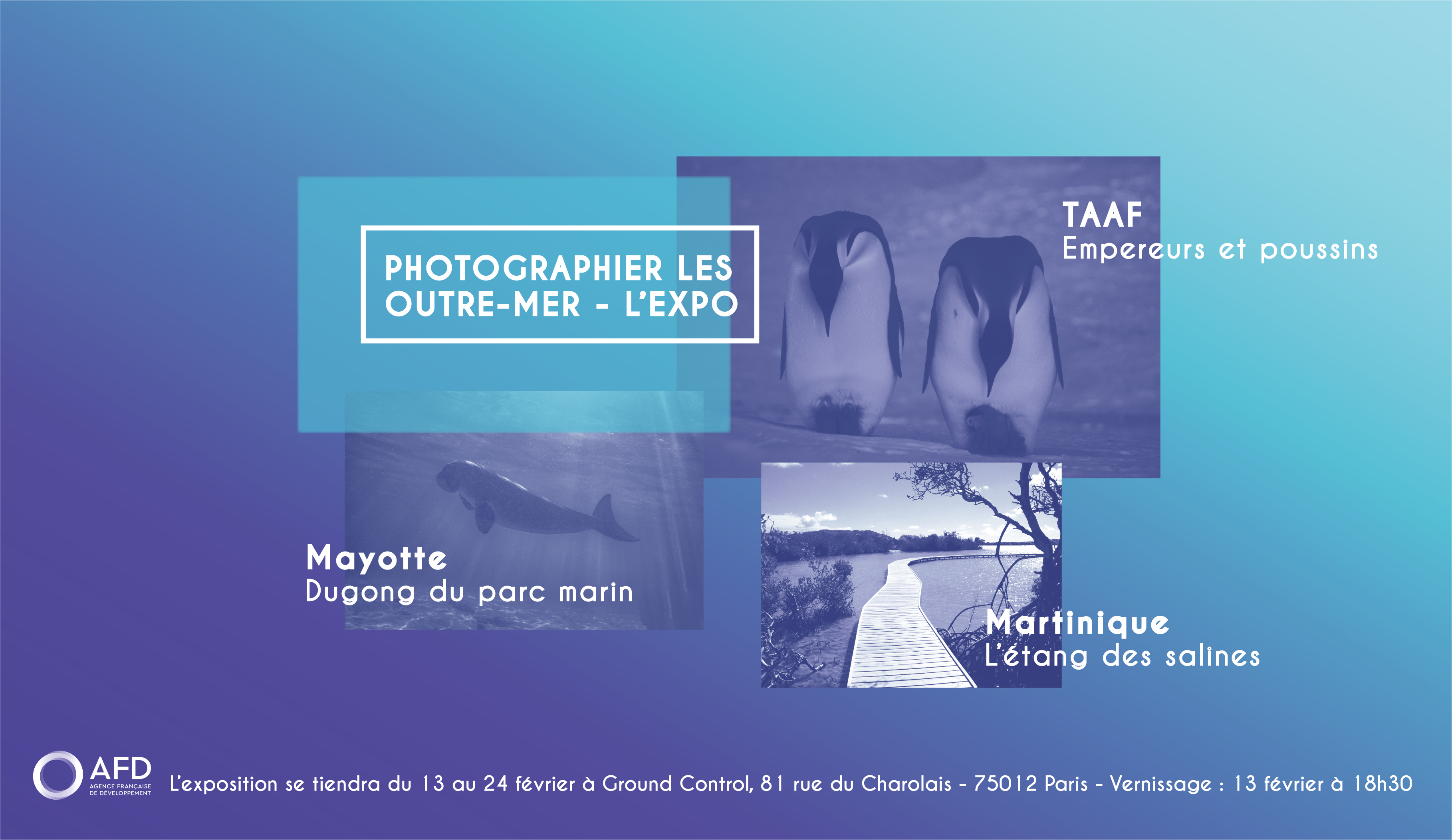 Biodiversité : Après le concours, l’exposition « Photographier les Outre-mer » à Paris