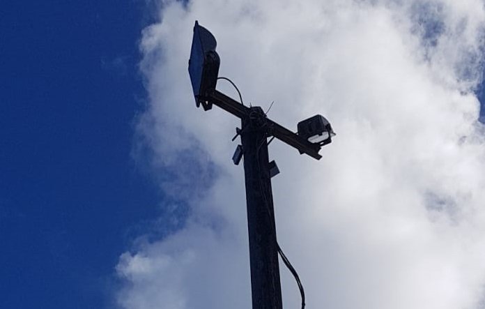 Sargasses aux Antilles : Des caméras autonomes sur les plages de Guadeloupe pour suivre les échouages