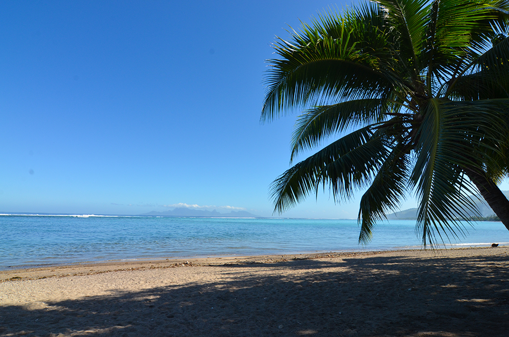 Environnement : En Polynésie, la crème solaire bannie de certains sites touristiques en mars