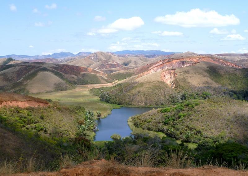 Biodiversité: Allier développement et conservation de la biodiversité, le plan du Cirad à Madagascar