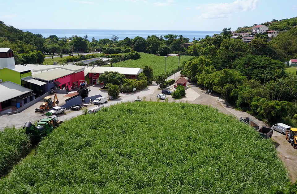 Economie verte-Martinique : La distillerie Neisson obtient «le Green Rum Compagny of the Year» par le Caribbean Journal