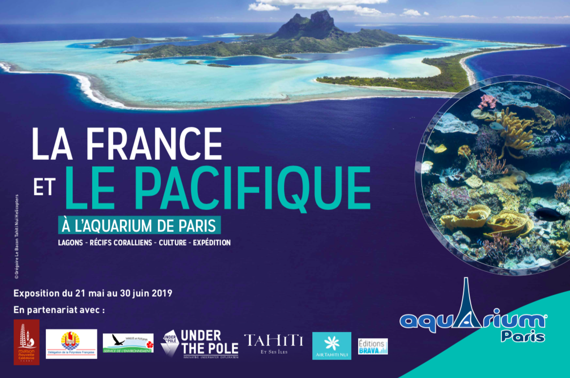 À l’Aquarium de Paris, le Pacifique à l’honneur jusqu’au 30 juin