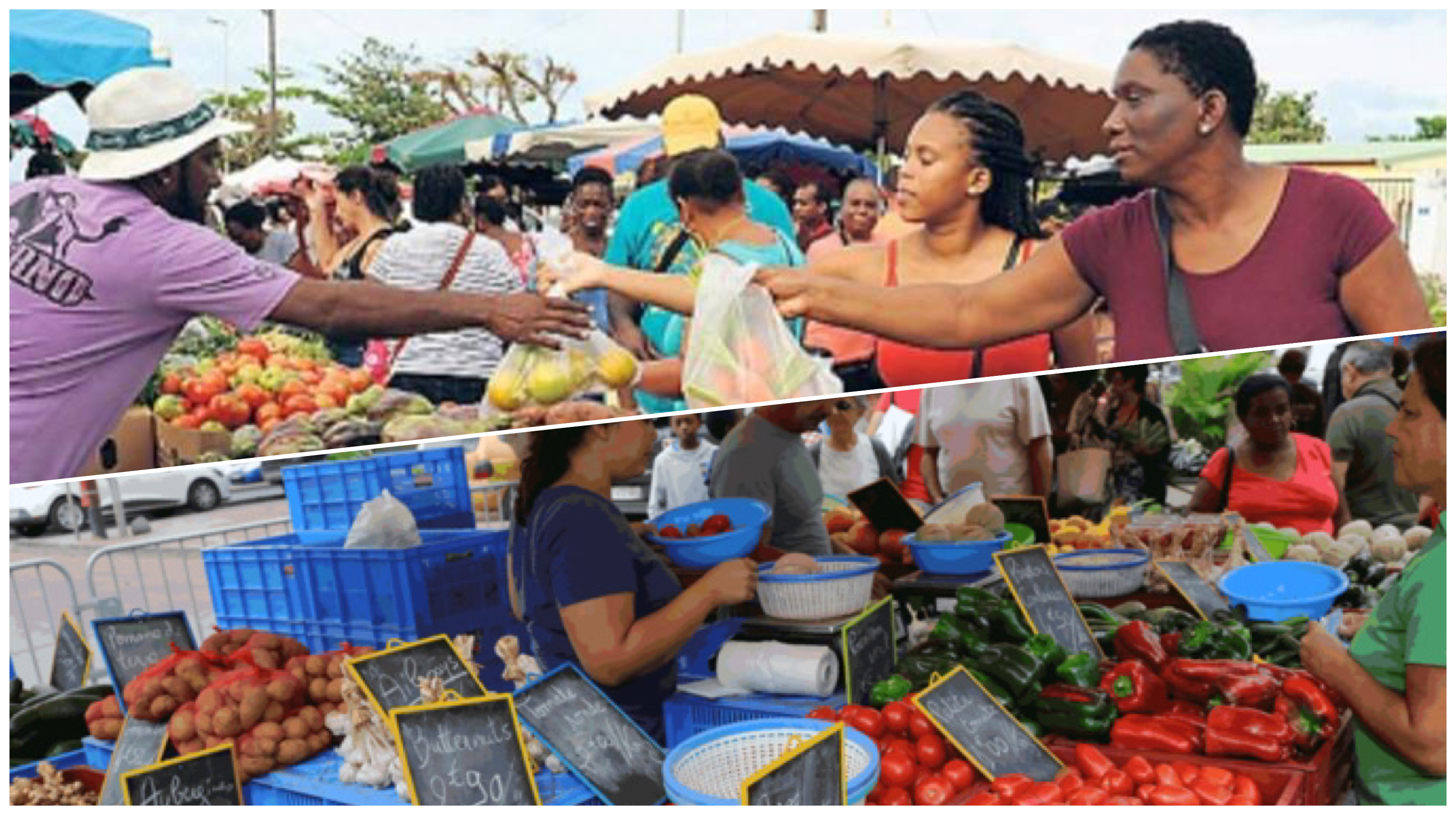 Culture : Un marché de Guadeloupe et de La Réunion en lice pour le concours du plus beau marché de France