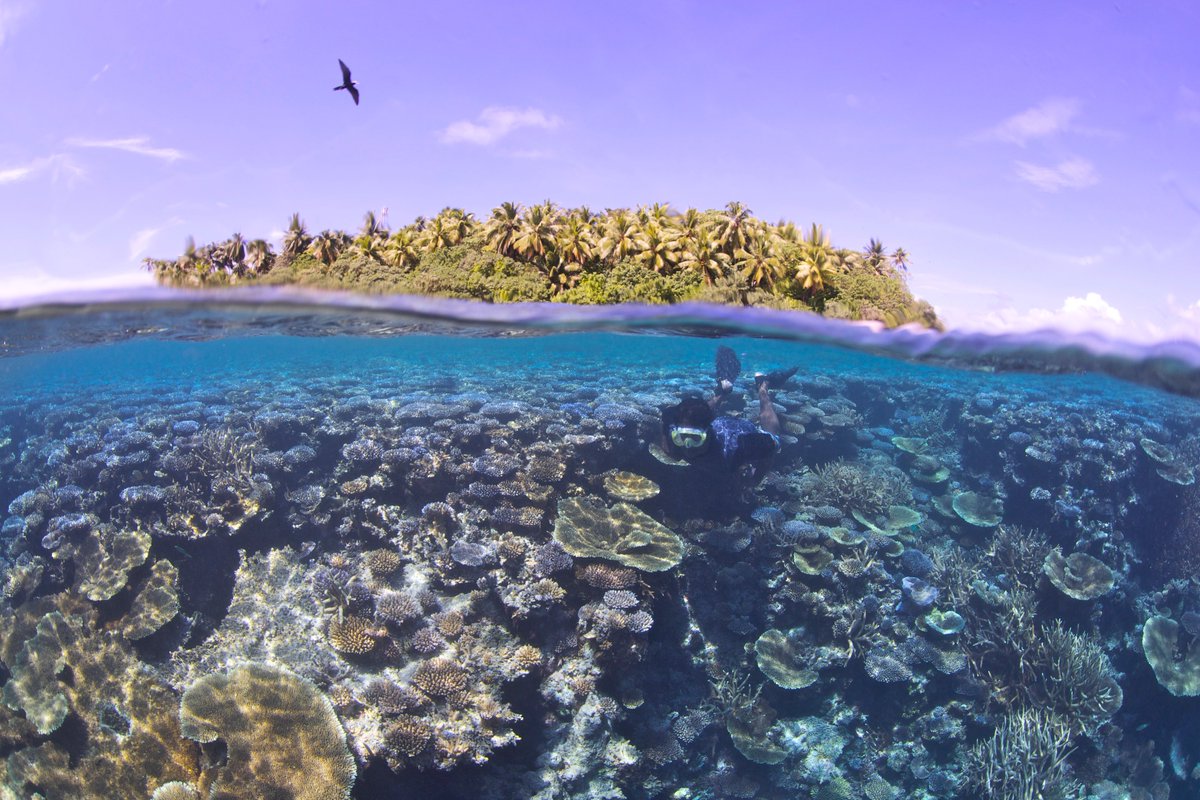 Un collectif du Pacifique appelle à « la préservation et la gestion appropriées des océans de la planète »