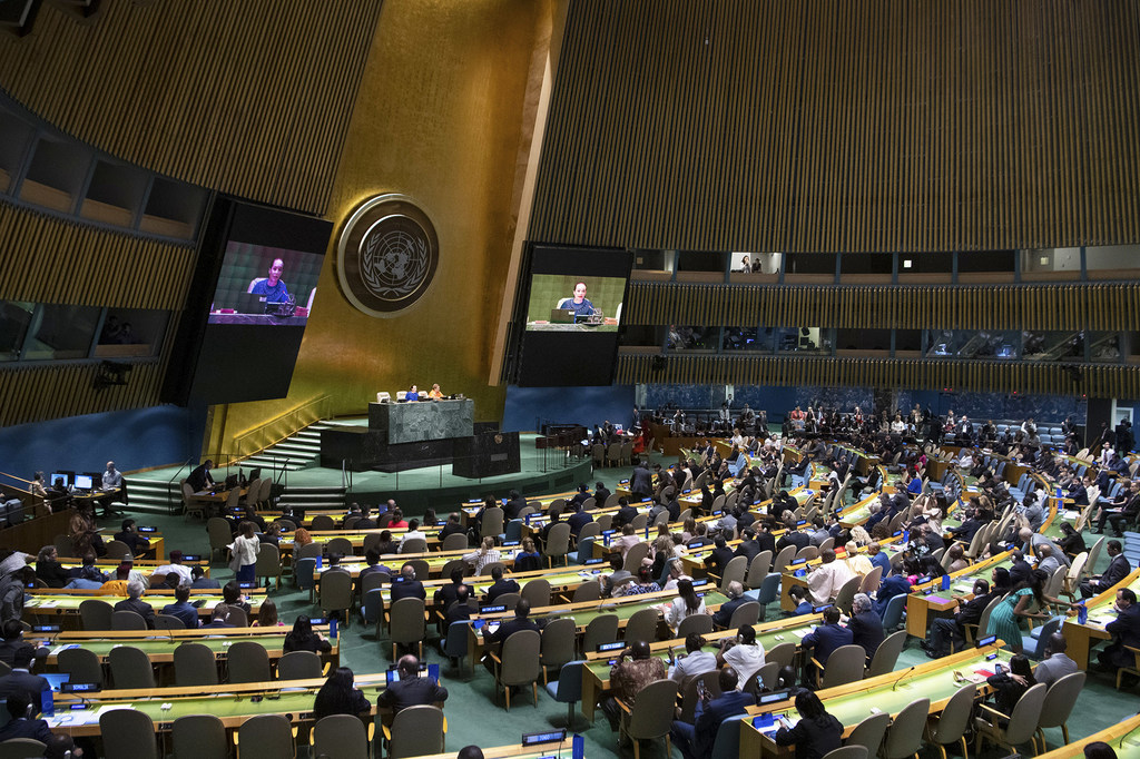 Caraïbes : Saint-Vincent-et-les-Grenadines au Conseil de sécurité de l&rsquo;ONU en 2020