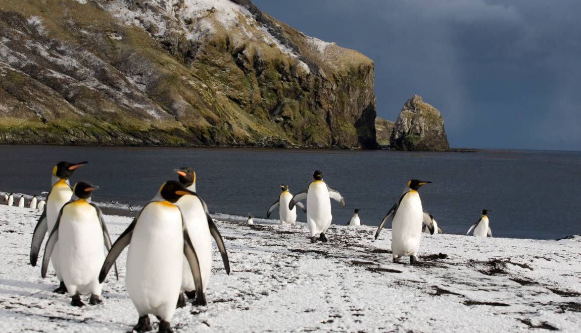 UNESCO : Les Terres australes et antarctiques françaises bientôt inscrites au patrimoine mondial
