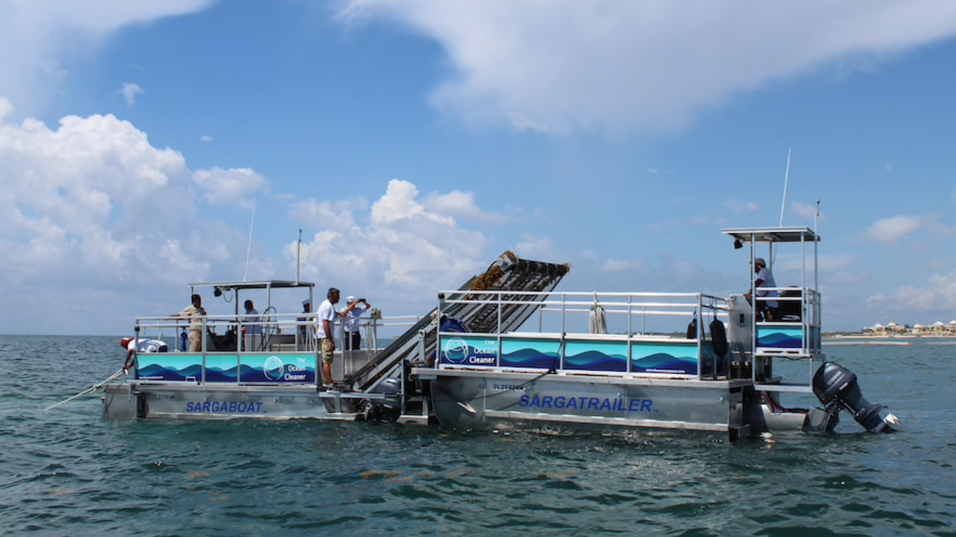 Des bateaux québécois à la poursuite des algues sargasses du Mexique