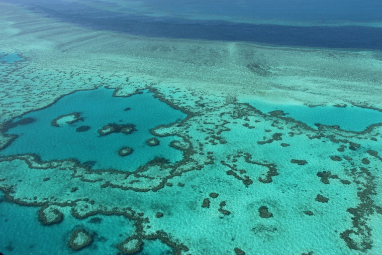 Australie : Les perspectives désormais &laquo;&nbsp;très mauvaises&nbsp;&raquo; pour la Grande Barrière de corail