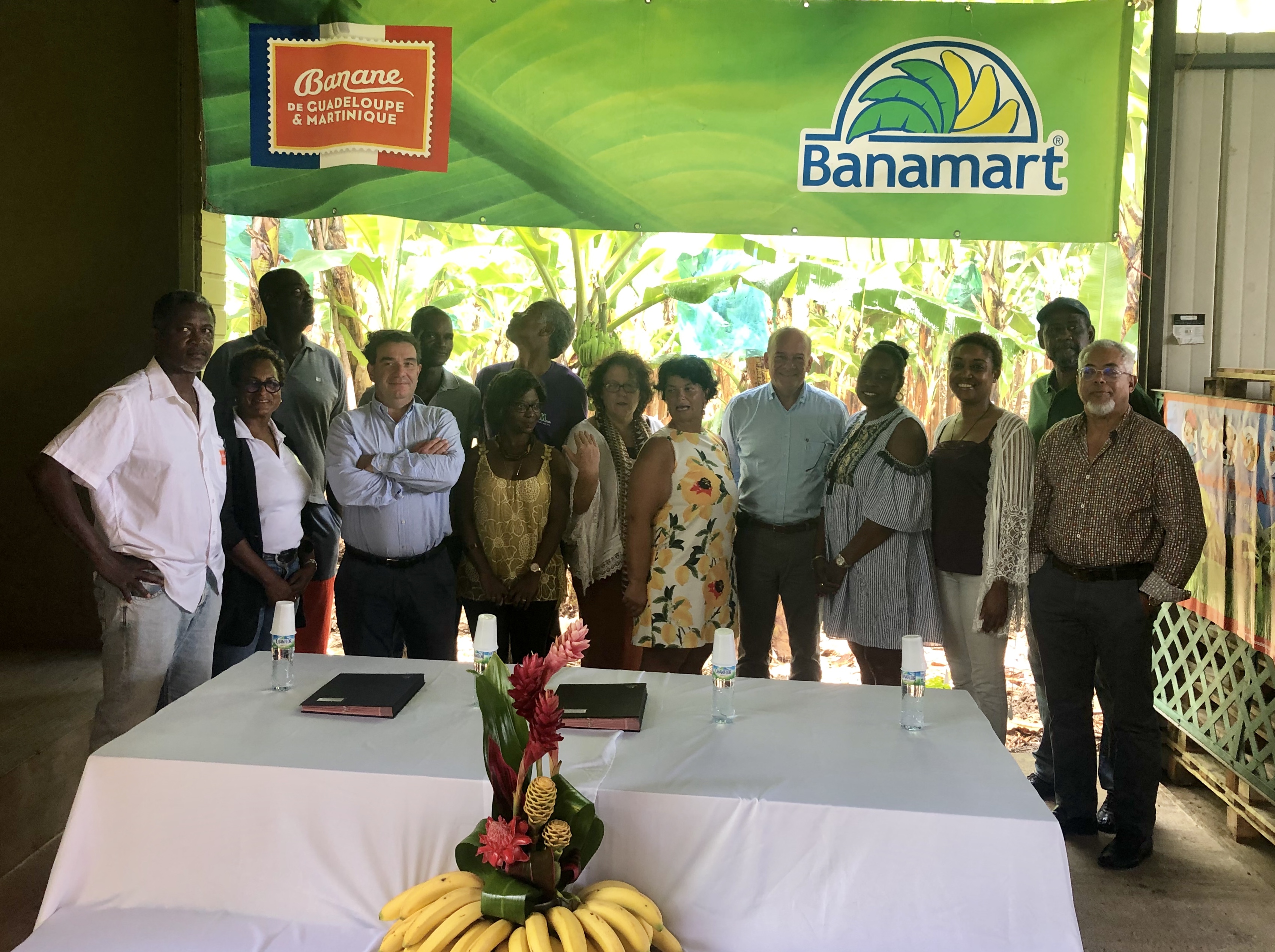 Économie : La filière banane de Martinique et Pôle Emploi signent une convention