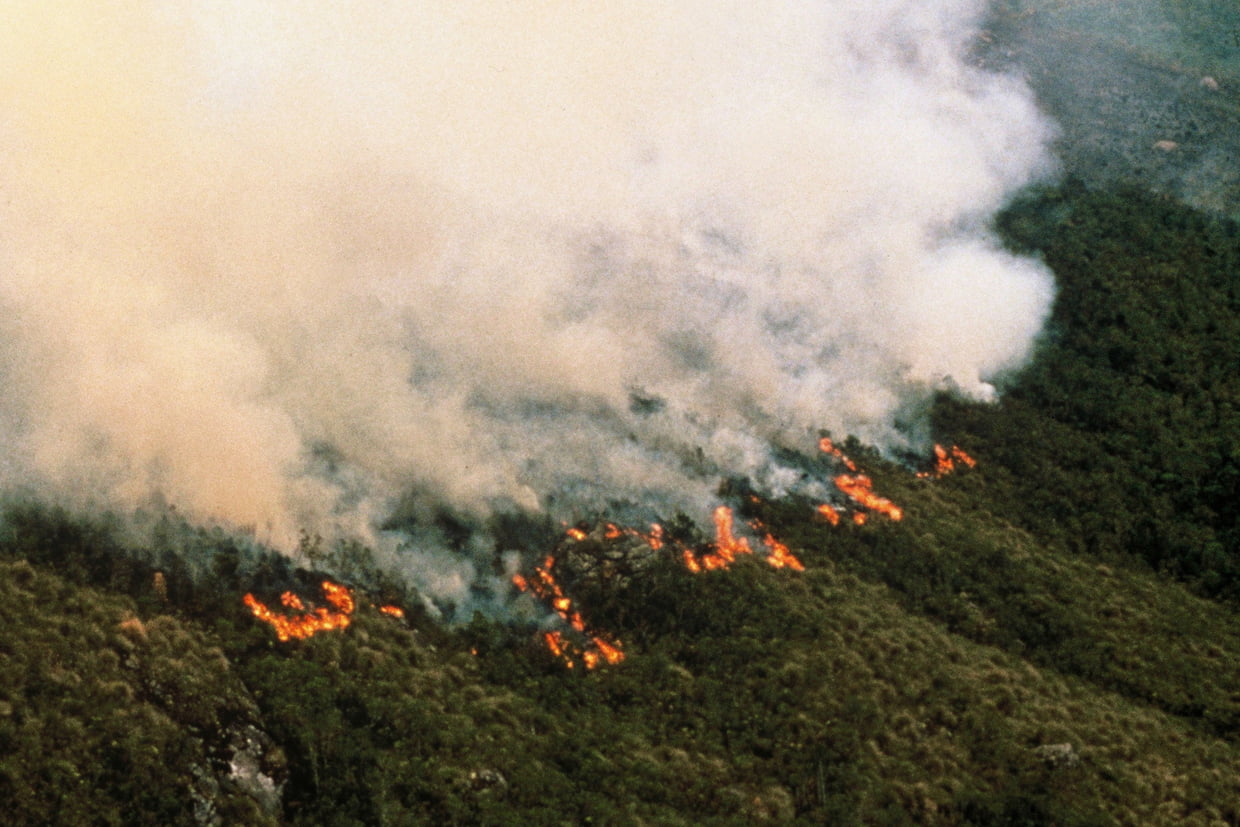 Amazonie : La déforestation, &laquo;&nbsp;cause principale&nbsp;&raquo; des incendies selon un chercheur