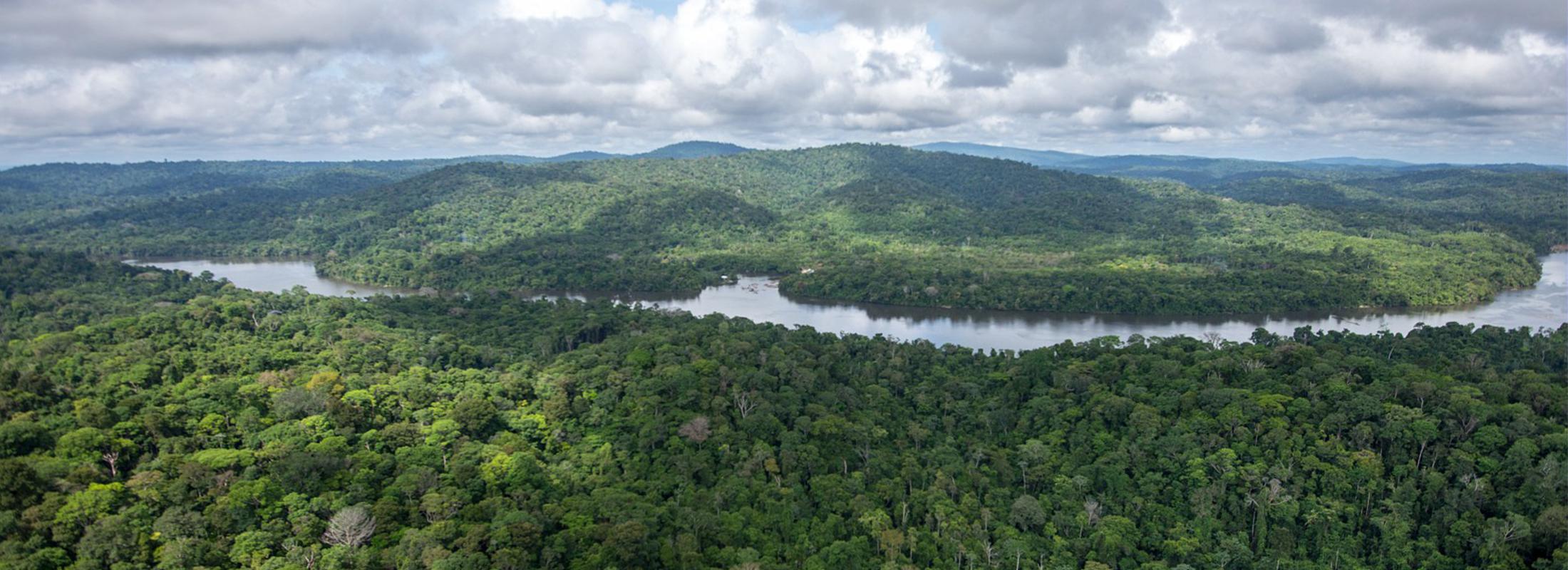 Feux en Amazonie : La Guyane, légitimité de la France dans la crise amazonienne