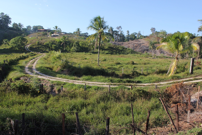 En Guyane, les coutumiers réunis pour « récupérer les terres »