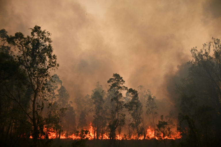 Incendies en Australie : Les pompiers redoutent une aggravation de la situation, les fumées atteignent Nouméa