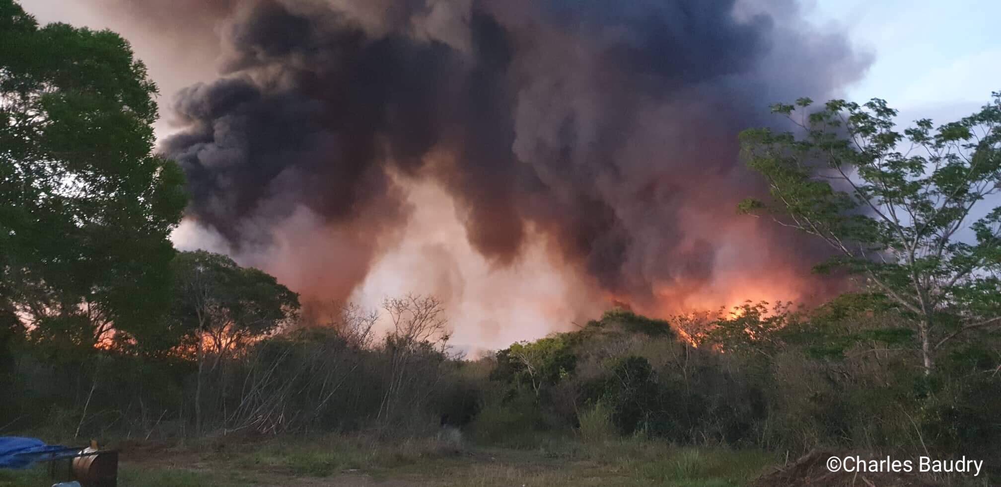 En Nouvelle-Calédonie, « les feux détruisent les potentiels de développement durable », déplore la WWF