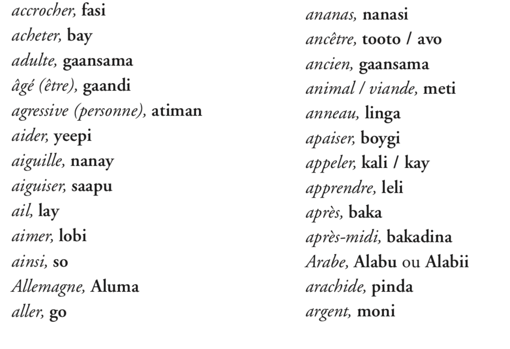 Langues régionales en Guyane : Le premier dictionnaire bushinenge disponible en version numérique