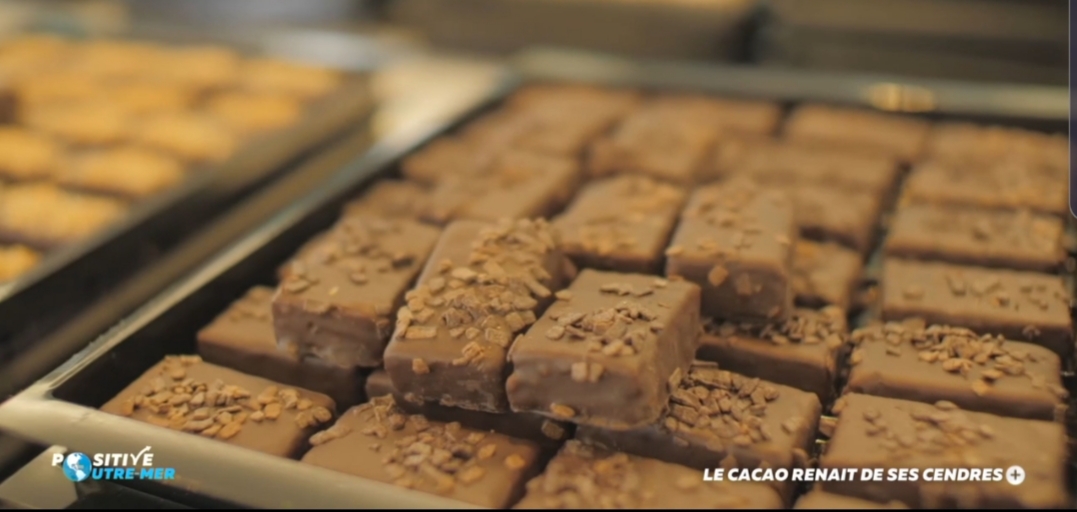 VIDEO. Positive Outre-mer: Le Cacao renaît de ses cendres