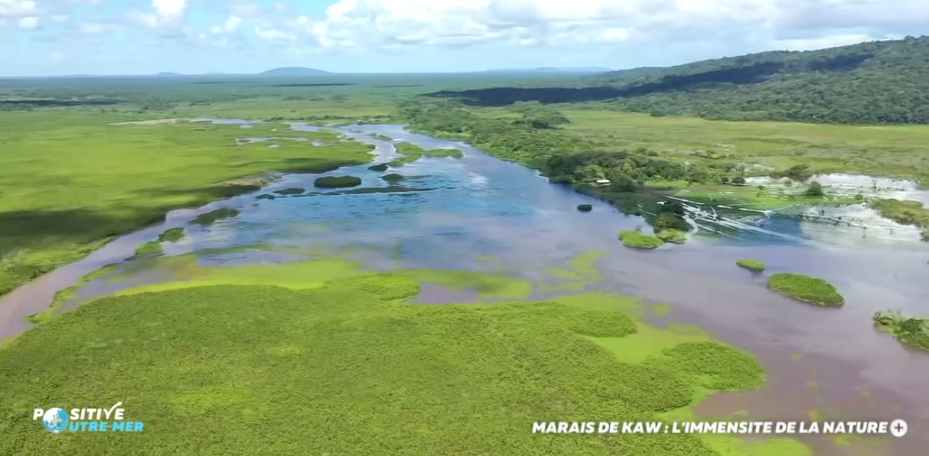 VIDEO.Positive Outremer : Les Marais de Kaw, en Guyane, l&rsquo;immensité de la nature
