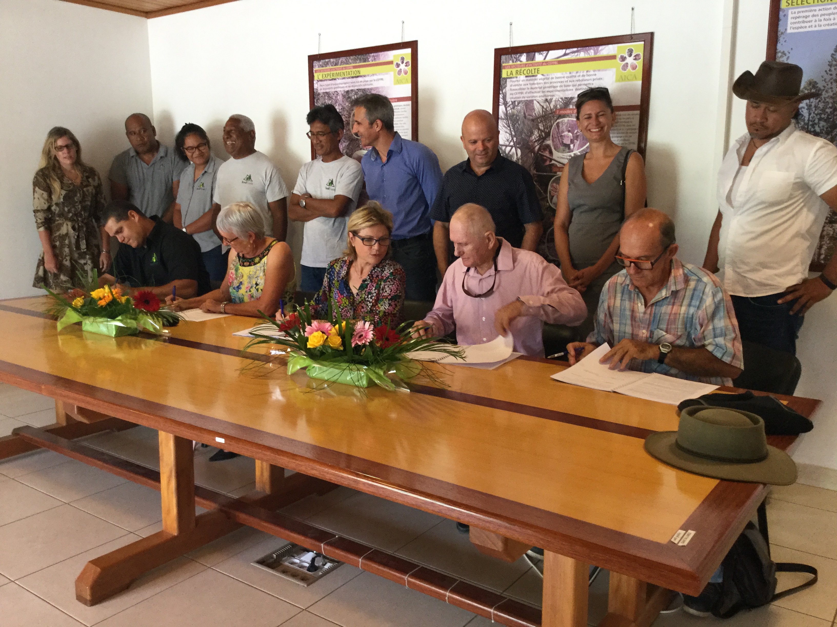 Nouvelle-Calédonie : Sud Forêt signe une convention pour reboiser le foncier privé