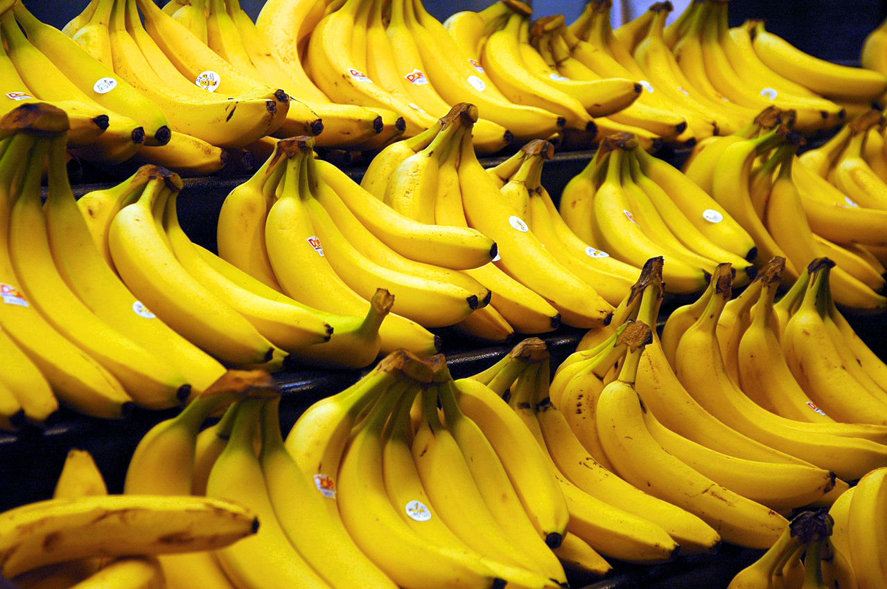 Le Cirad lance une alliance pour faire face aux menaces pesant sur la banane