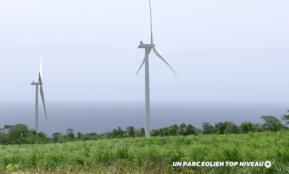 VIDÉO. Positive Outre-mer : En Martinique, un parc éolien top niveau