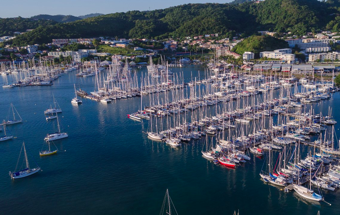 VIDÉO. Positive Outre-mer : En Martinique, une Marina à énergie durable