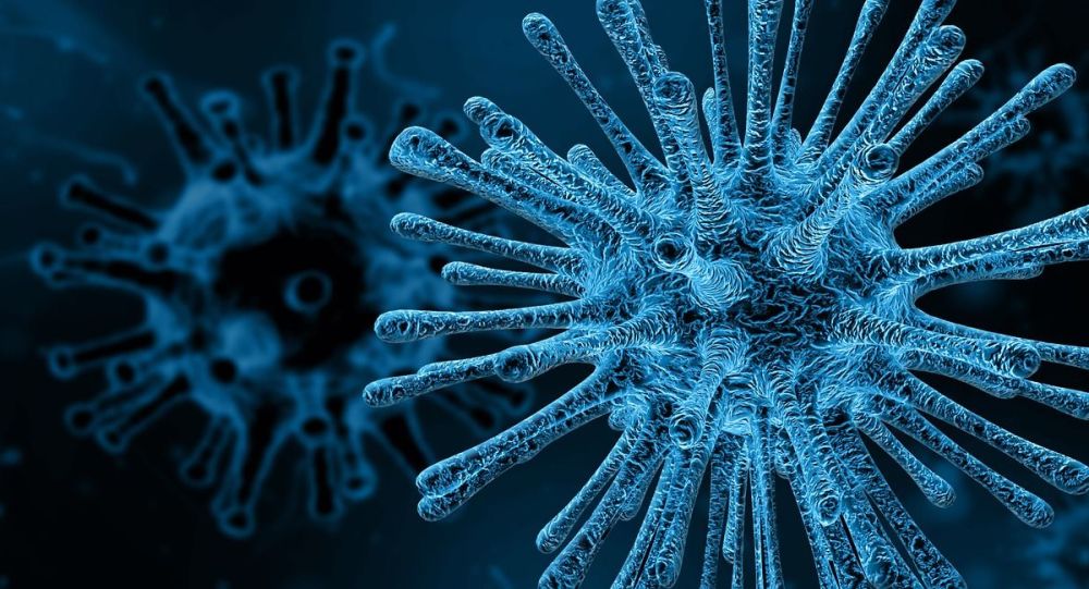 Covid-19 : Premier décès lié au coronavirus dans les Outre-mer, en Martinique