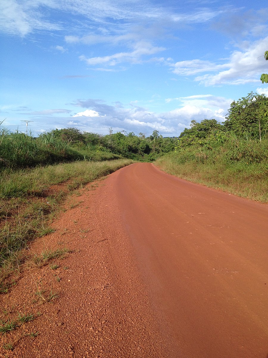 Guyane : Début de la construction de la route Maripasoula-Papaïchton pour le mois d&rsquo;août