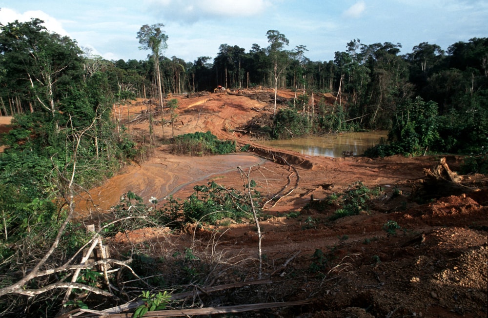 Projet minier « Espérance » en Guyane : Pas d’autorisation des travaux d’exploitation assure Élisabeth Borne