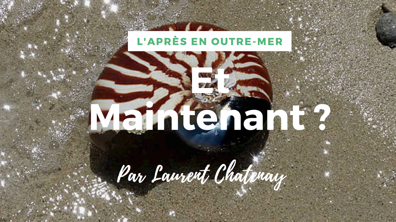 L&rsquo;Après en Outre-mer: Et maintenant ? par Laurent Chatenay, conseiller en stratégie