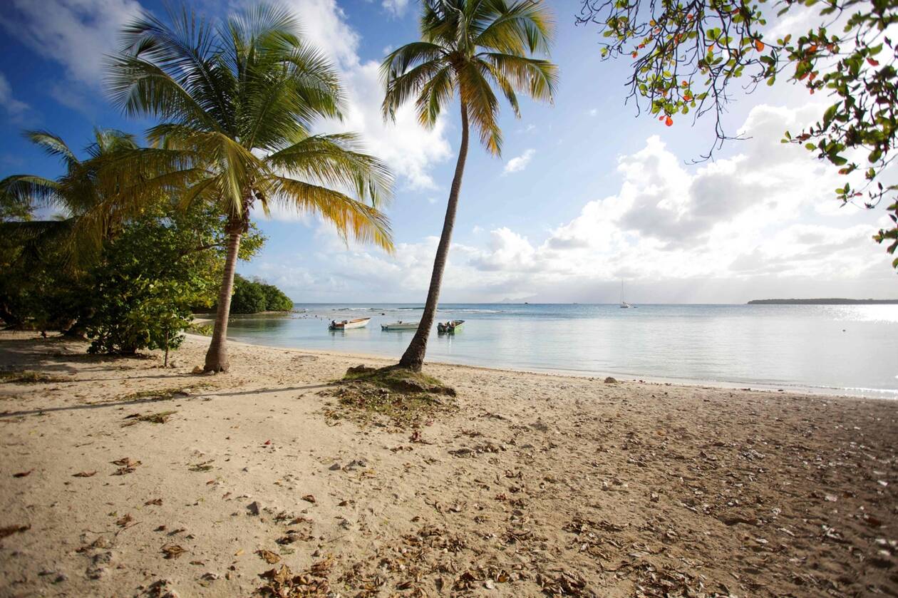 Tourisme : En Guadeloupe, union sacrée politique et économique pour la réouverture des îles