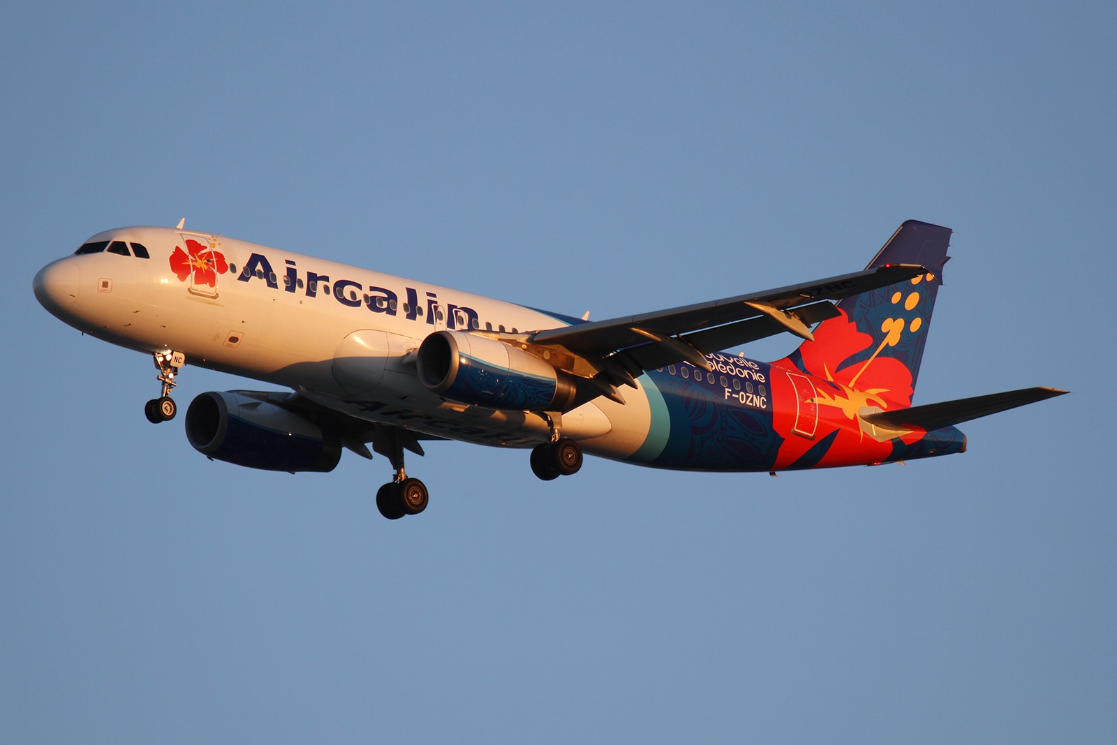 Desserte aérienne : Aircalin reprend la ligne Nouméa-Wallis avec un tarif spécial
