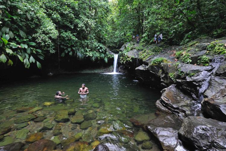 Guadeloupe : Le Parc national présente un plan d’aide pour la reprise