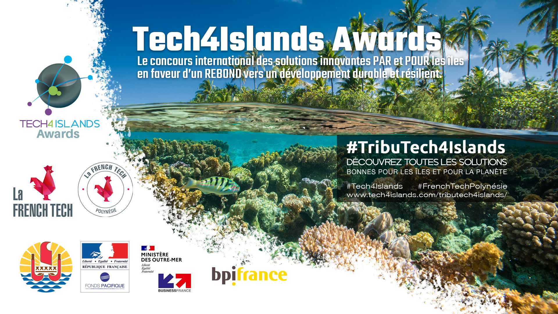 Innovation &#8211; Tech4Islands Awards 2020 : Succès mondial sans précédent du seul concours pour le REBOND des « îles d’après»