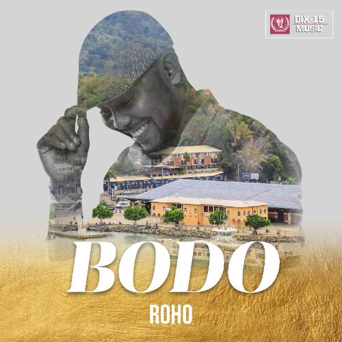 Avec son nouvel album « Roho », le chanteur mahorais Bodo veut franchir un nouveau palier