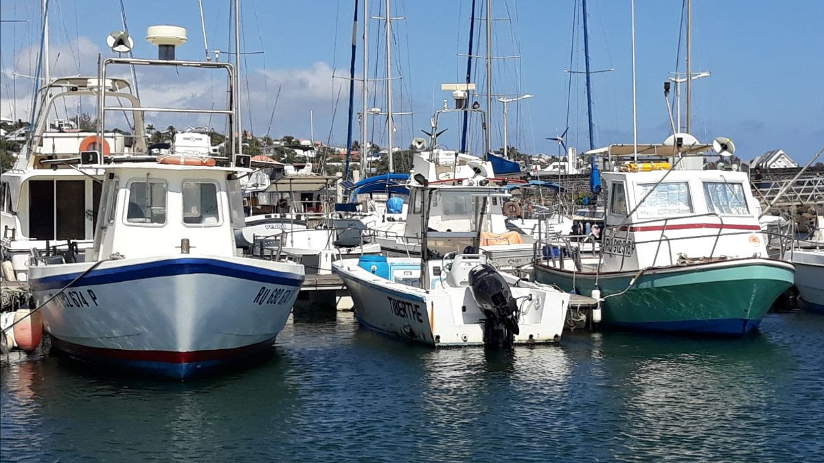 La Réunion : Le CRPMEM intervient en soutien aux pêcheurs naufragés