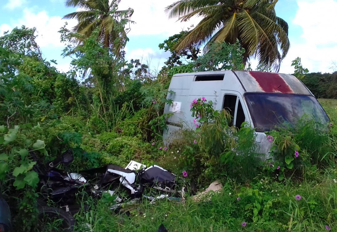 Guadeloupe : Pointe-à-Pitre se dote d’une application pour collecter les déchets